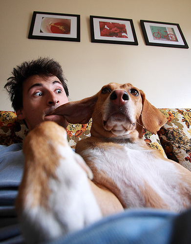 Why you should let dog owners get cozy: they'll make you money. Photo by http://www.flickr.com/photos/tudor.