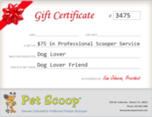 Pet Scoop Gift Certificate