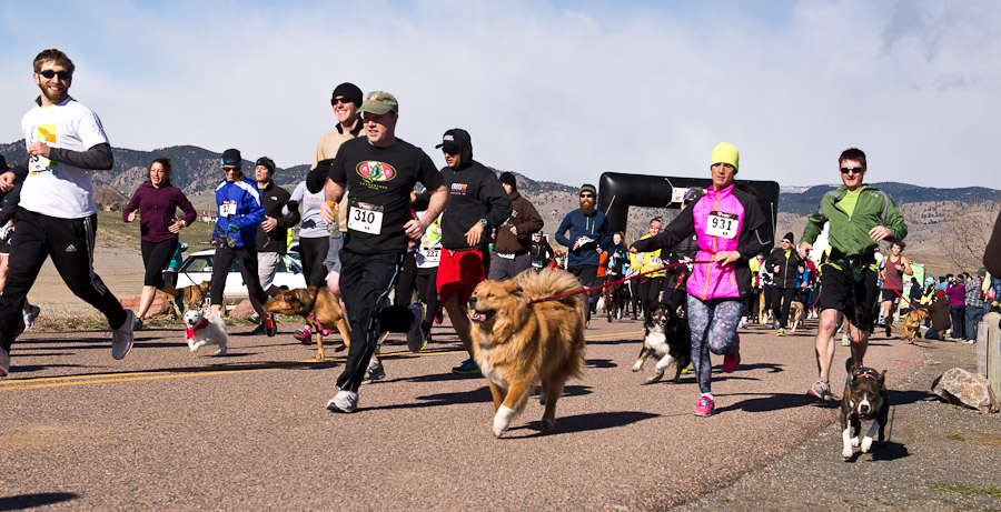 Boulder Cainine Walk and Run