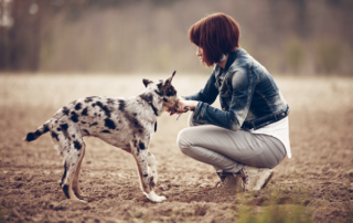 Girl and Dog 1