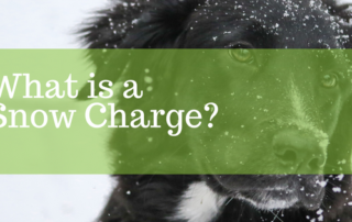 Snow Charge