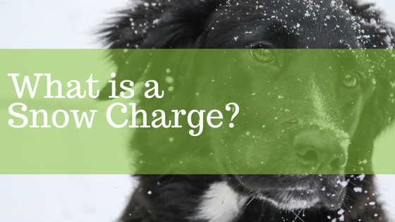 Snow Charge