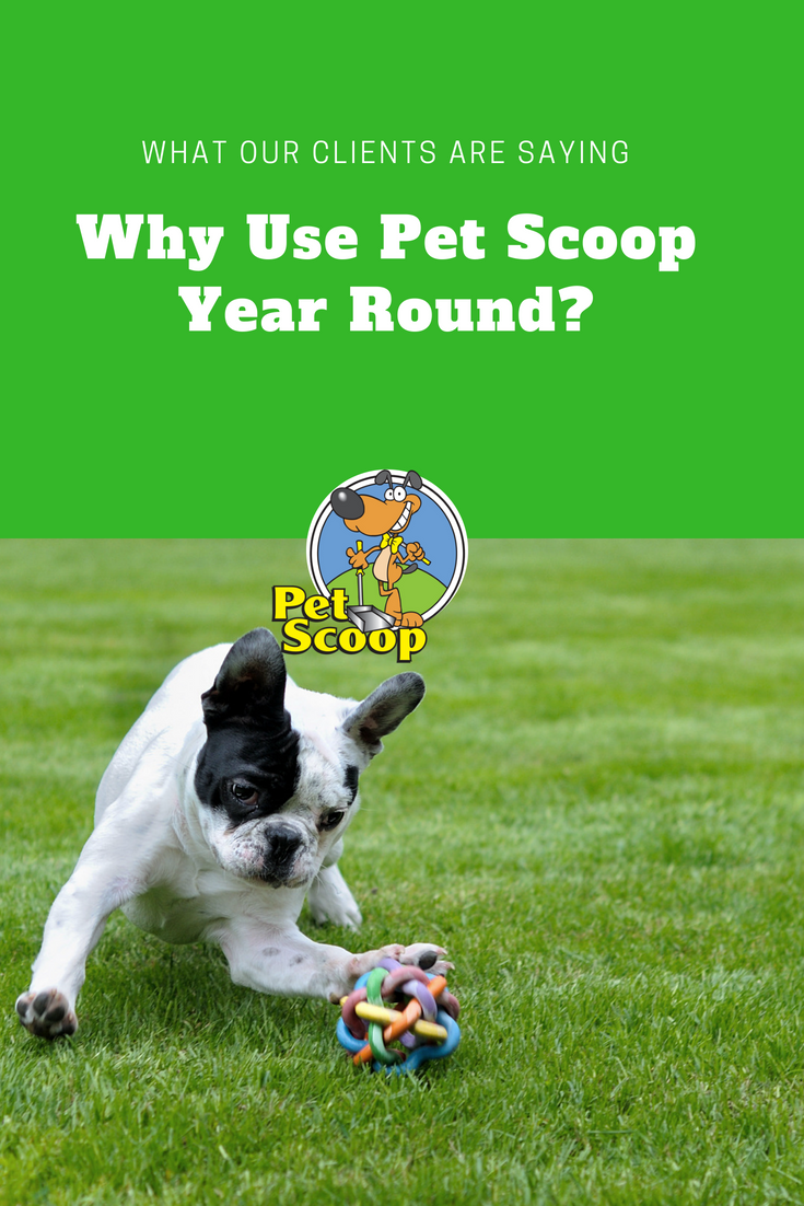 Why Use Pet Scoop Year Round rev