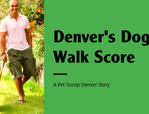 Dog Walking Score: How Does Denver Stack Up?