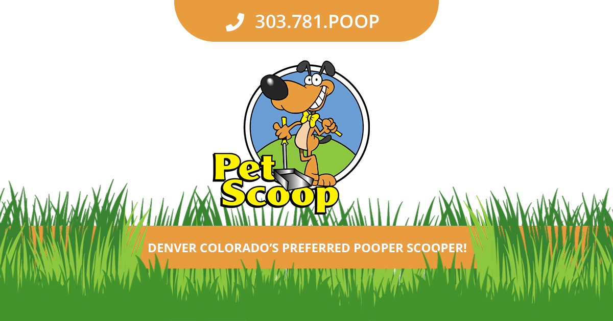 Denver CO Pooper Scooper Service Pet Scoop Pooper Scooper