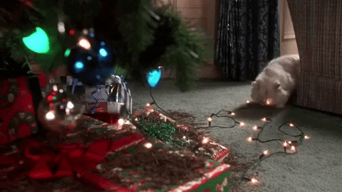 Cat pulling at Christmas tree lights