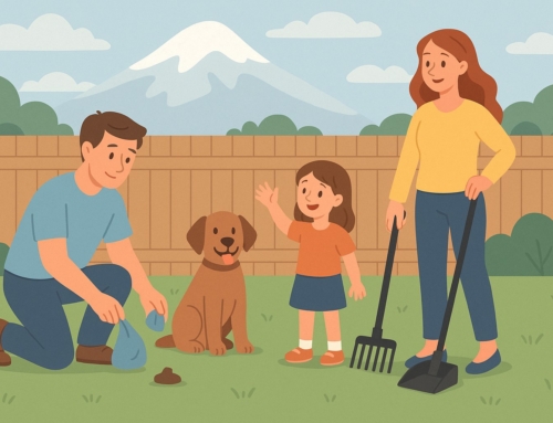 DIY vs. Professional Pooper Scooper: Which Is Right for Your Family?